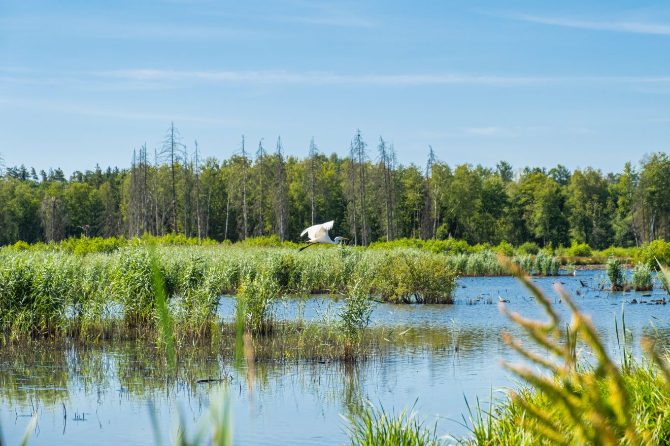 Biodiversité, de nouveaux moyens pour sa préservation