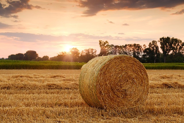 Répondre aux mobilisations du monde agricole !