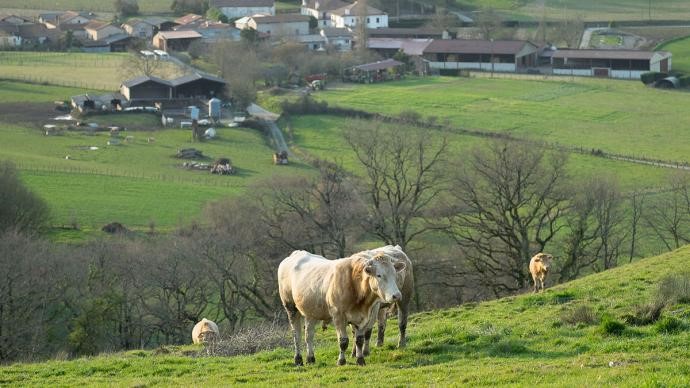 Les principales mesures votées du projet de loi d’orientation pour la souveraineté agricole